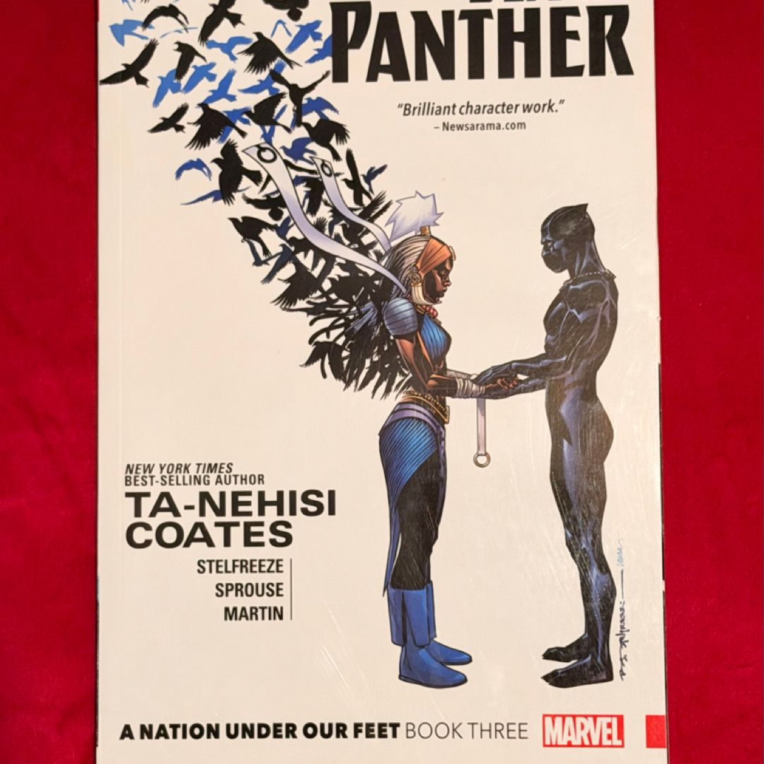 Black Panther: a Nation under Our Feet Book 3