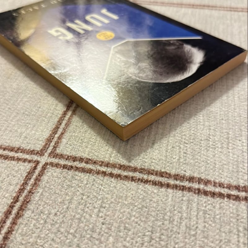 How to Read Jung by David Tacey