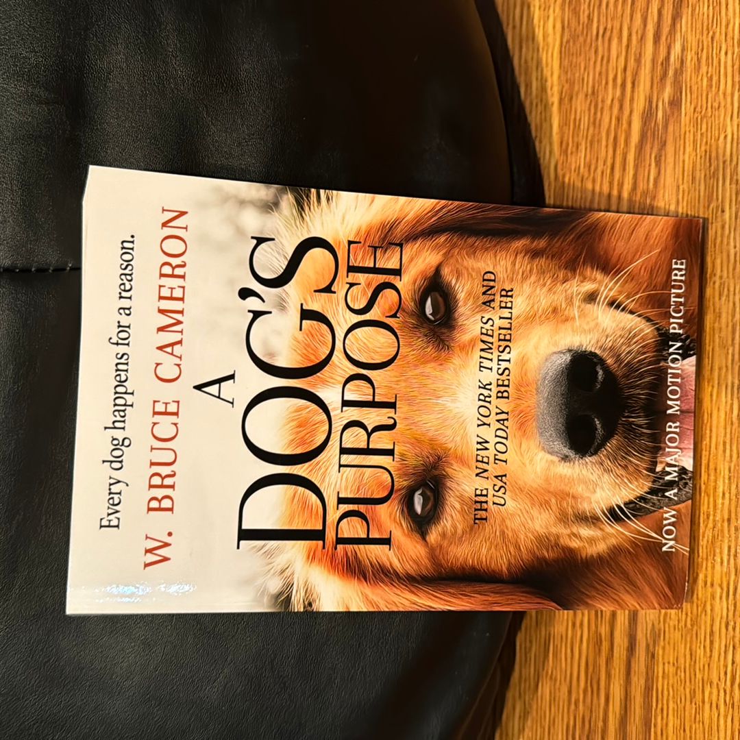 A Dog’s Purpose 