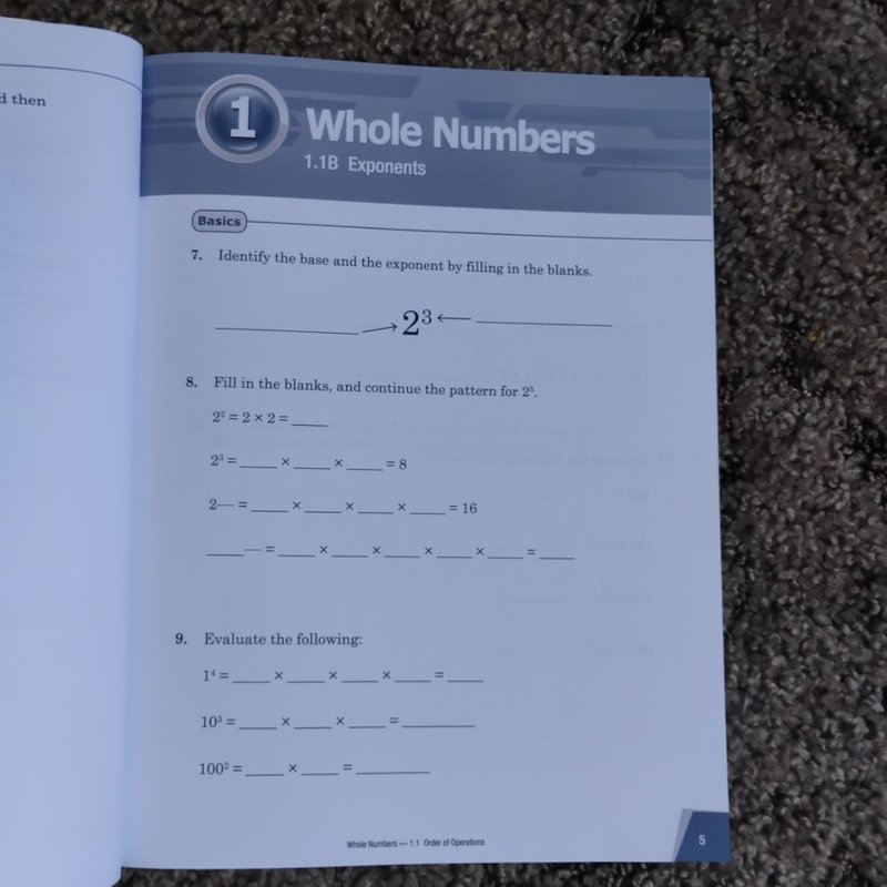 Dimensions Math Workbook 6A by