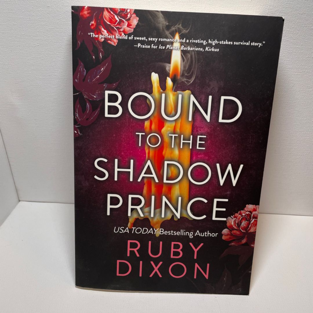 Bound to the Shadow Prince