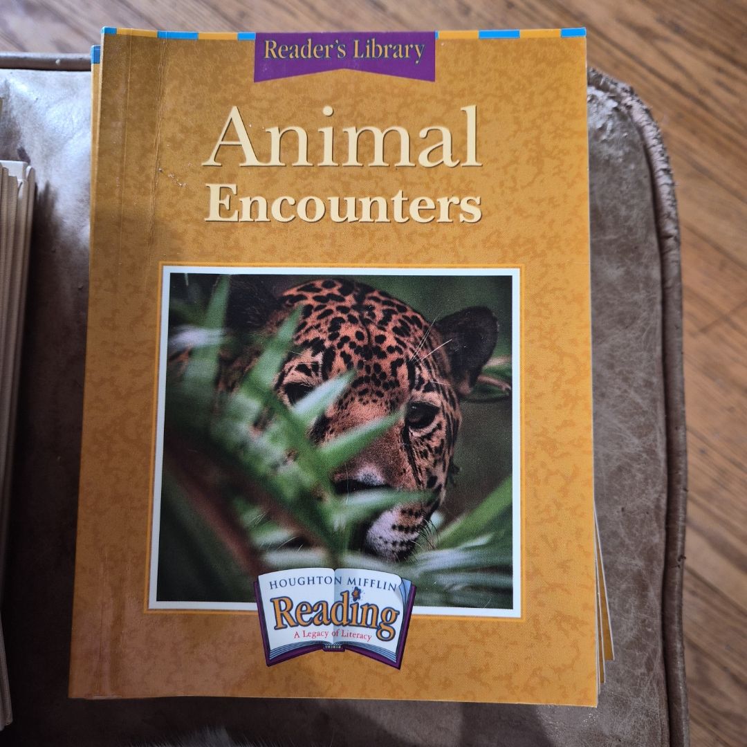 Houghton Mifflin the Nation's Choice