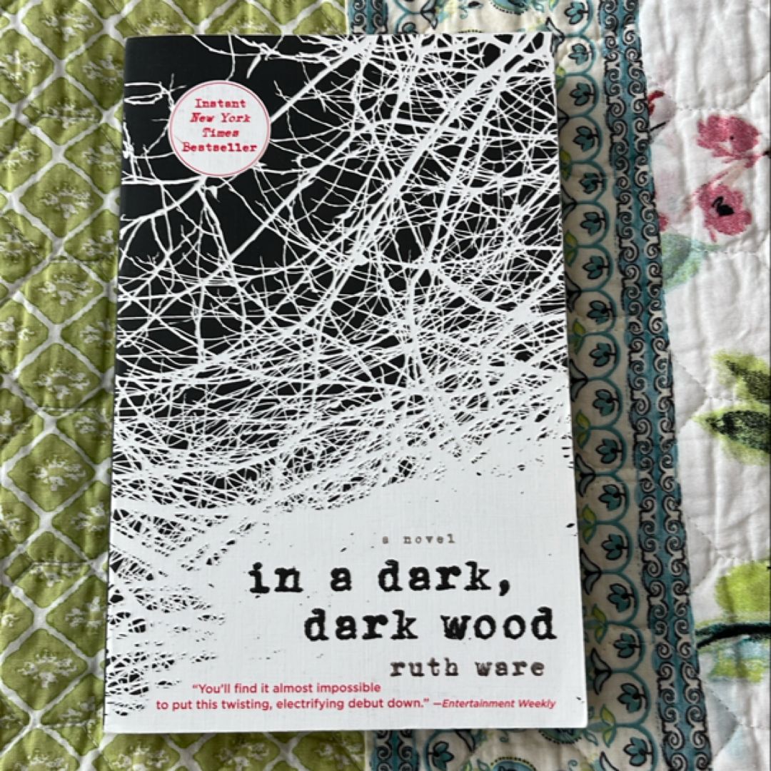 In a Dark, Dark Wood