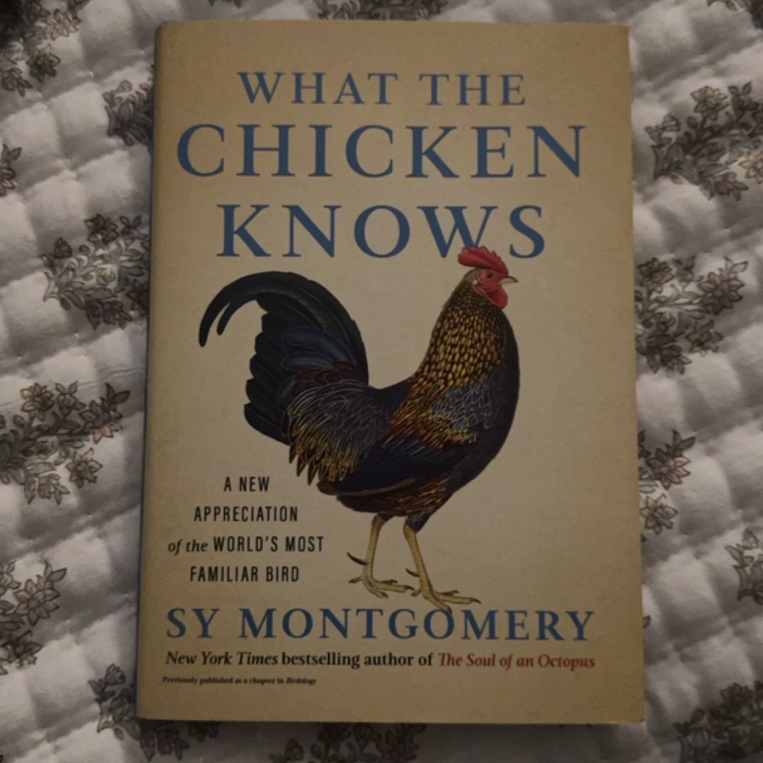 What the Chicken Knows