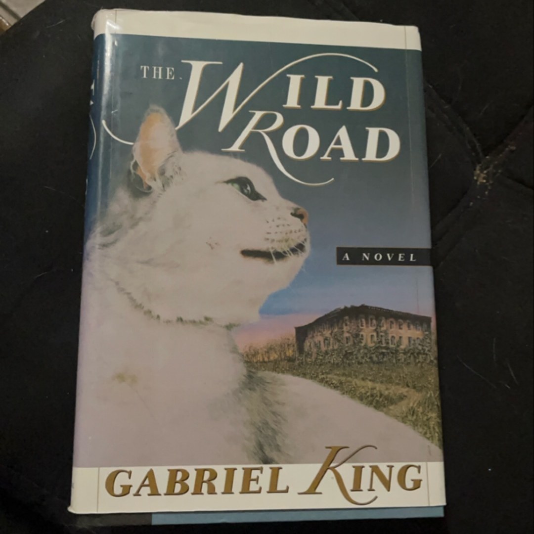 The Wild Road