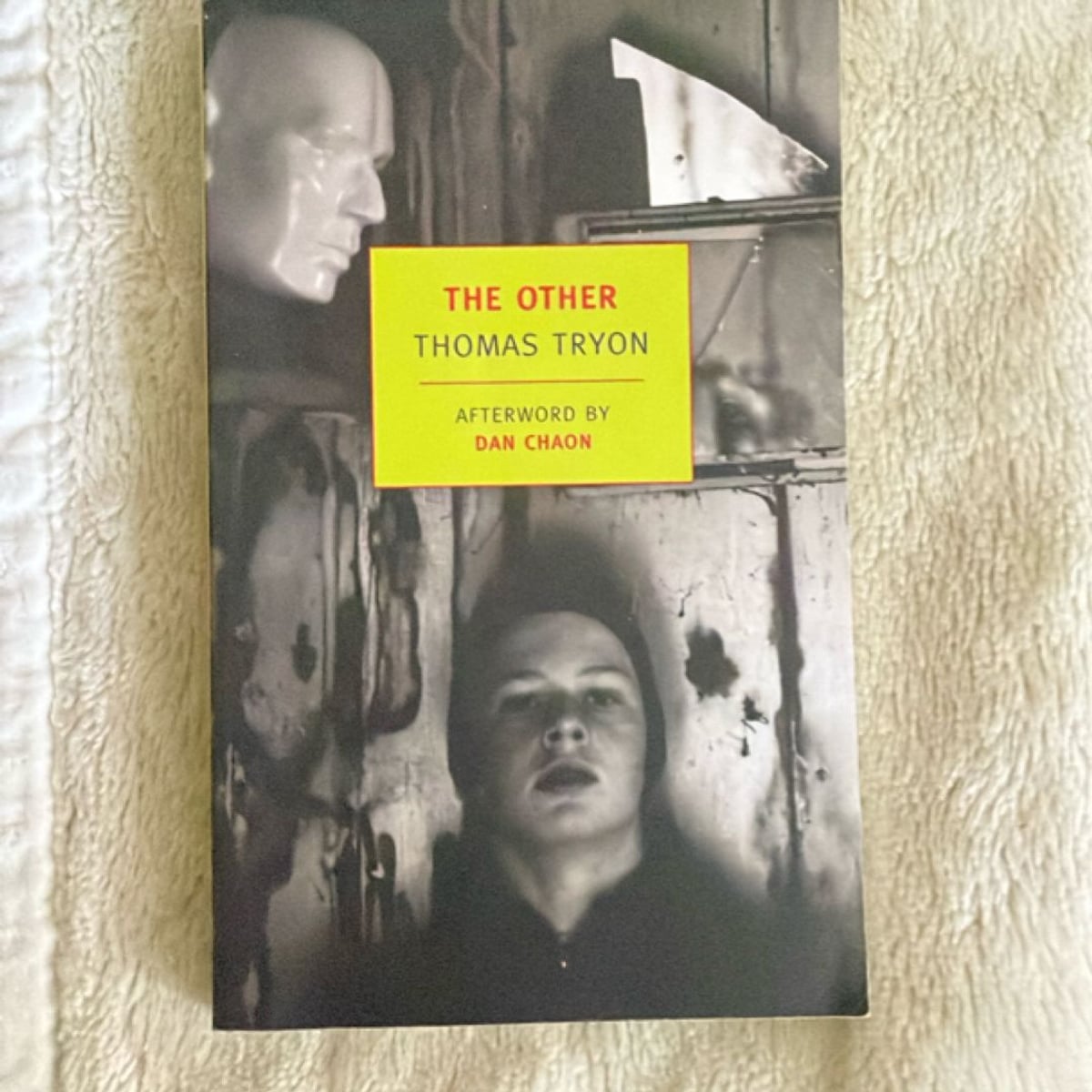 The Other by Thomas Tryon; Dan Chaon, Paperback | PangoBooks