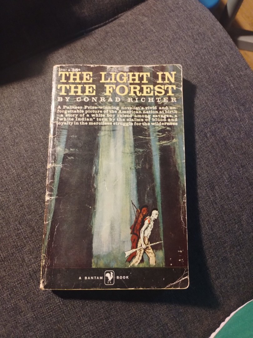The Light in the Forest 