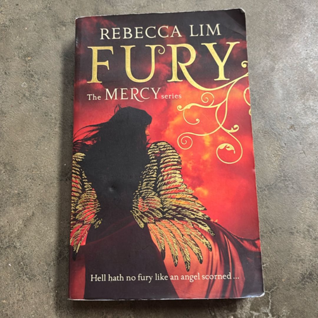 Fury (Mercy, Book 4)