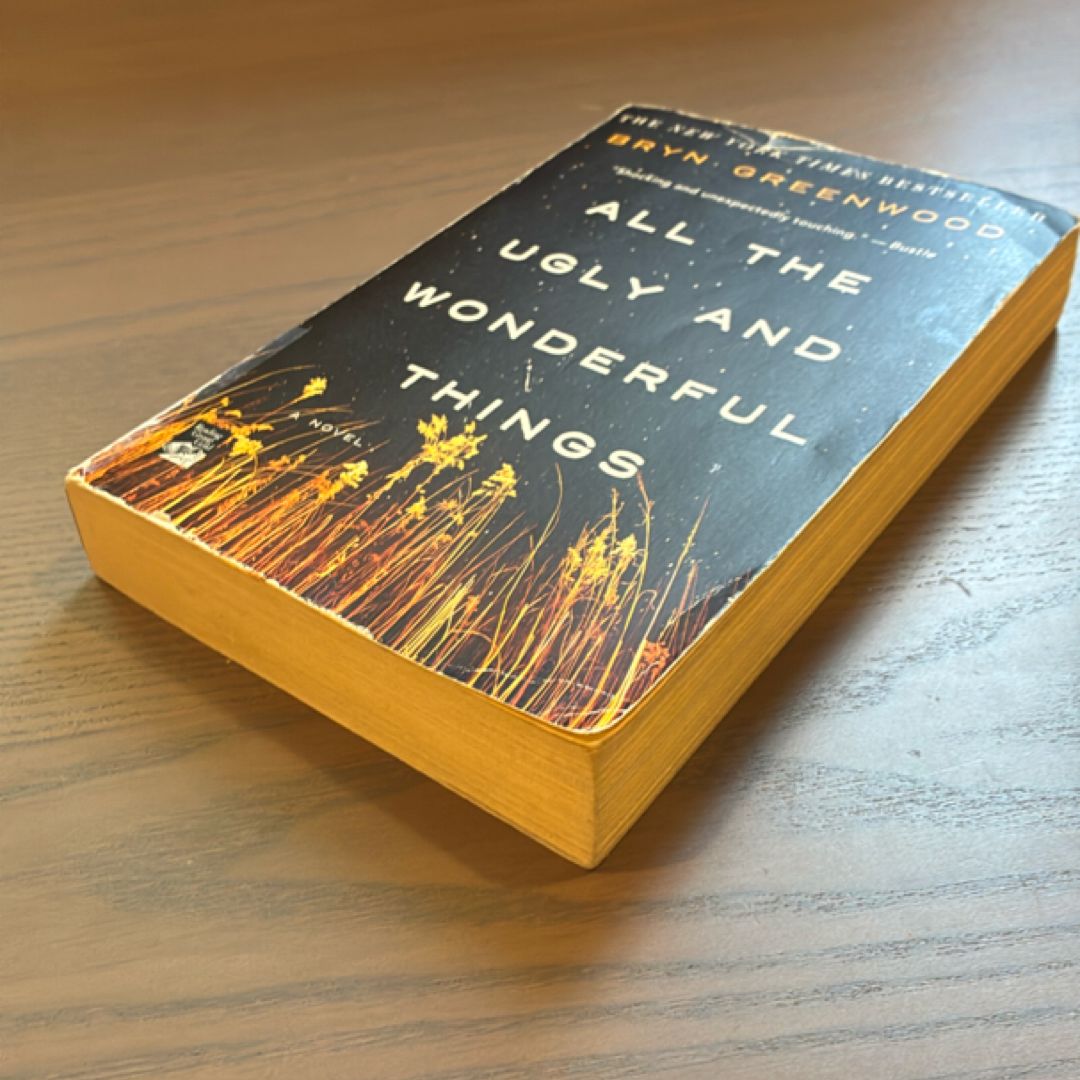 All the Ugly and Wonderful Things