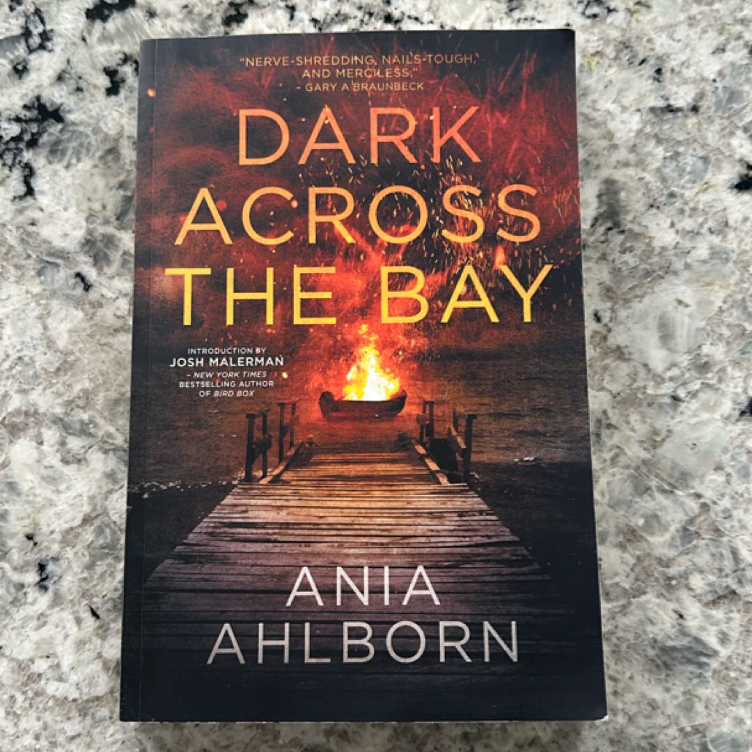Dark Across the Bay