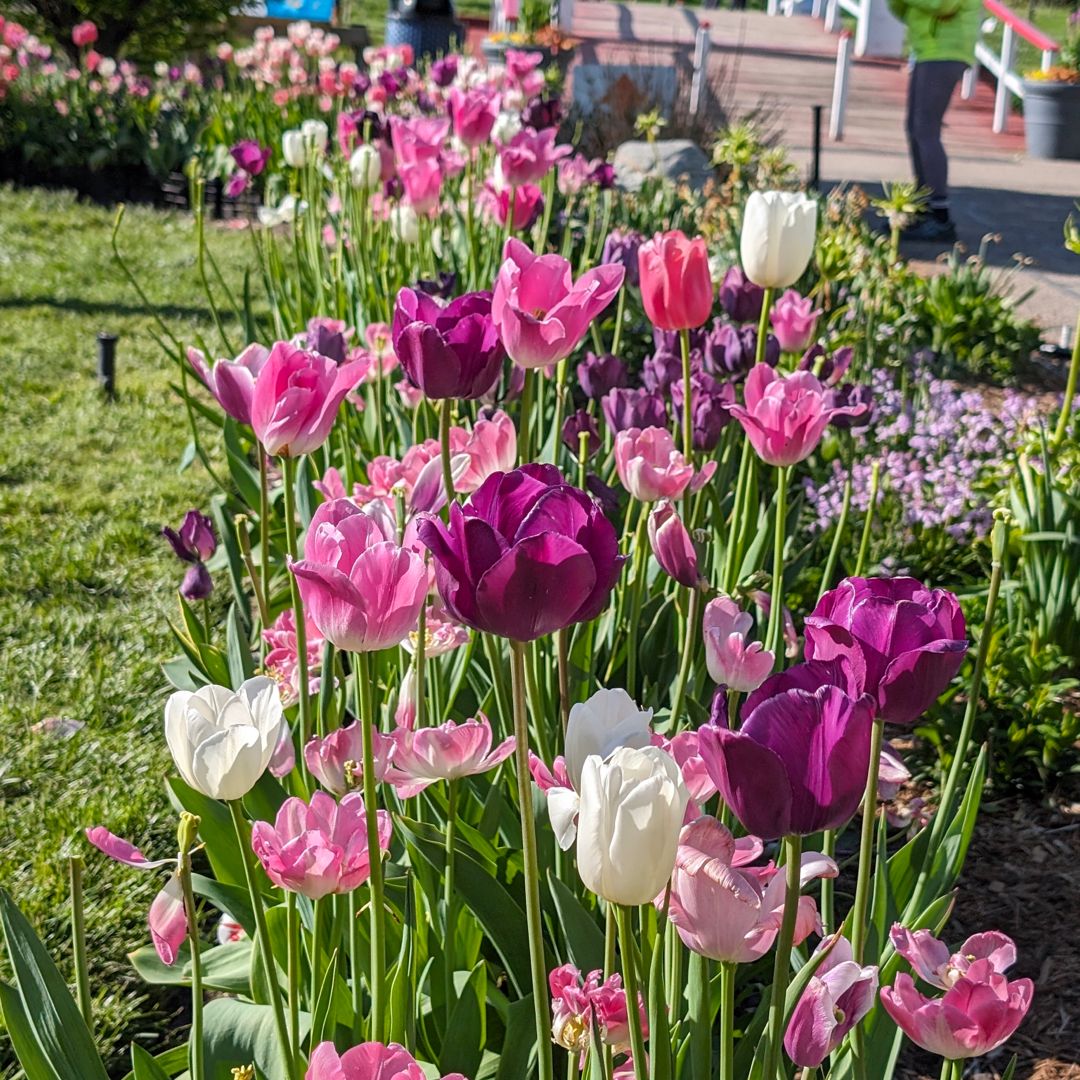 Yadira Biay-Martinez