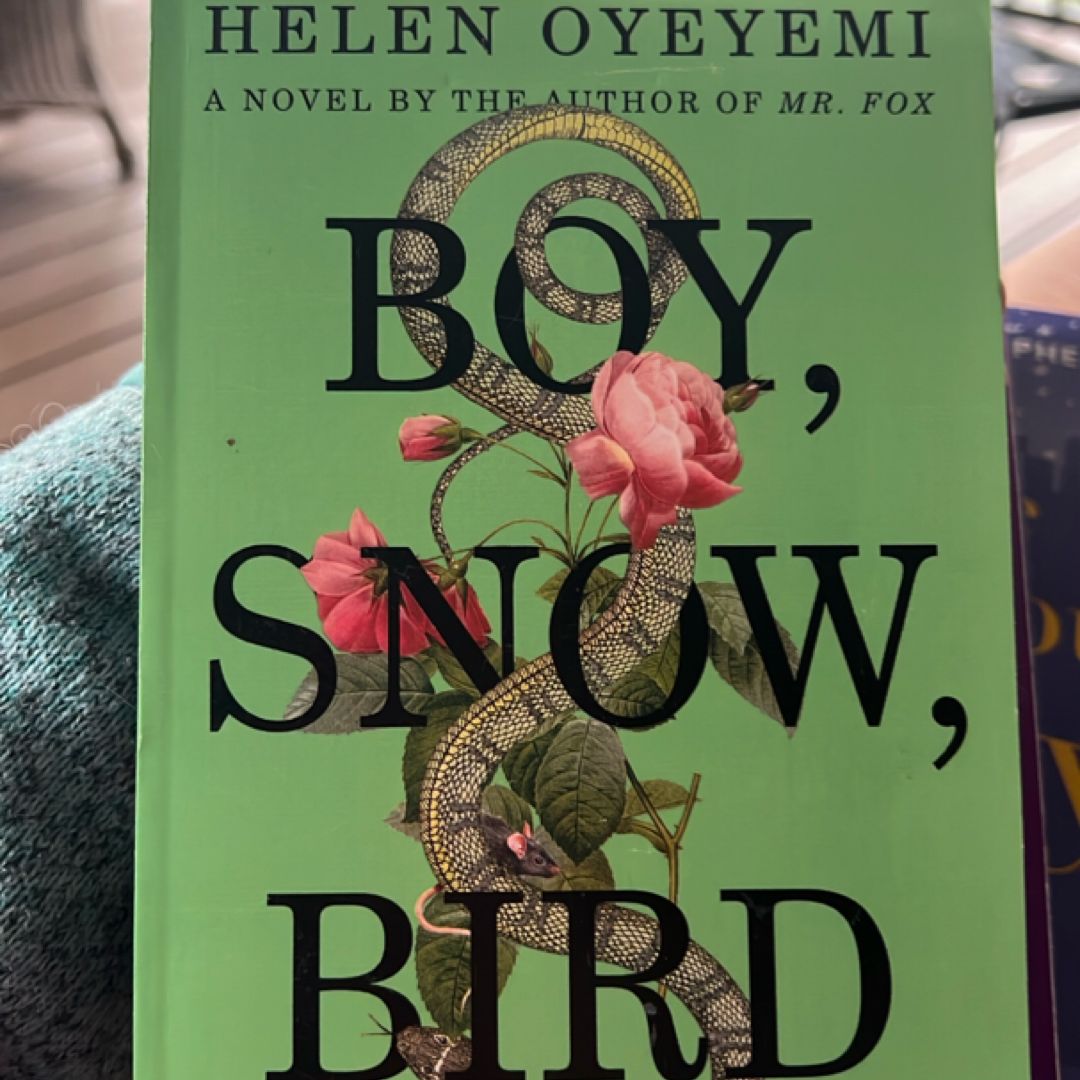 Boy, Snow, Bird