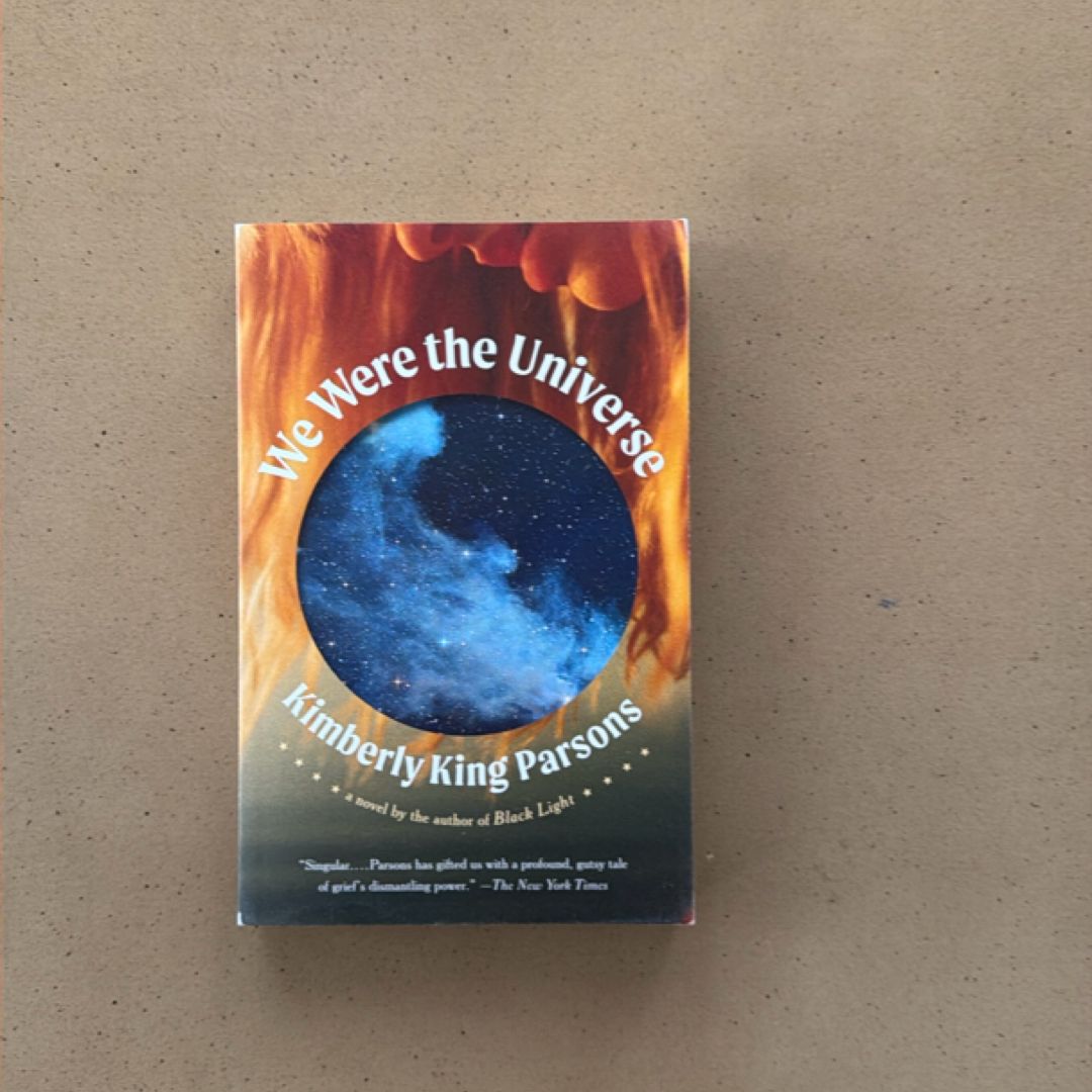 We Were the Universe