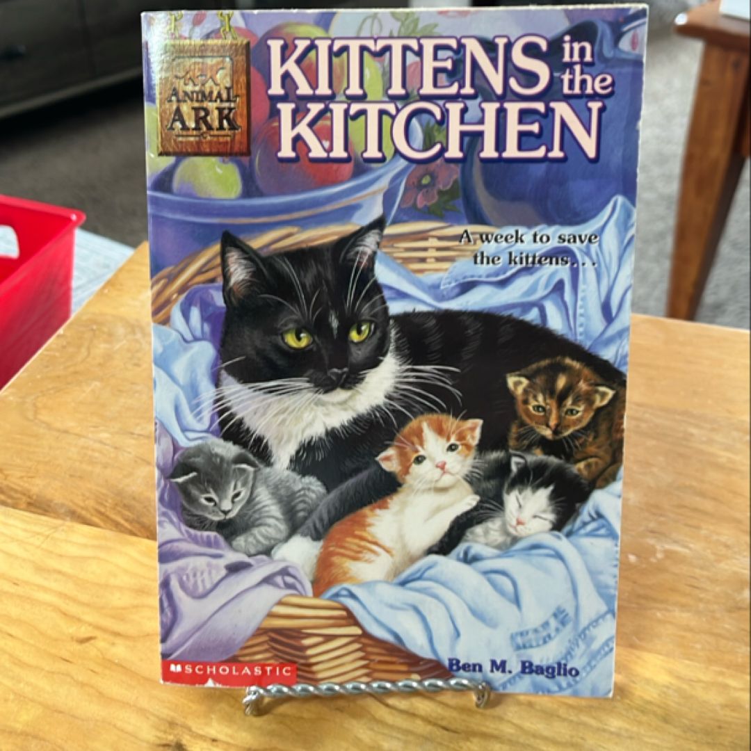 Kittens in the Kitchen