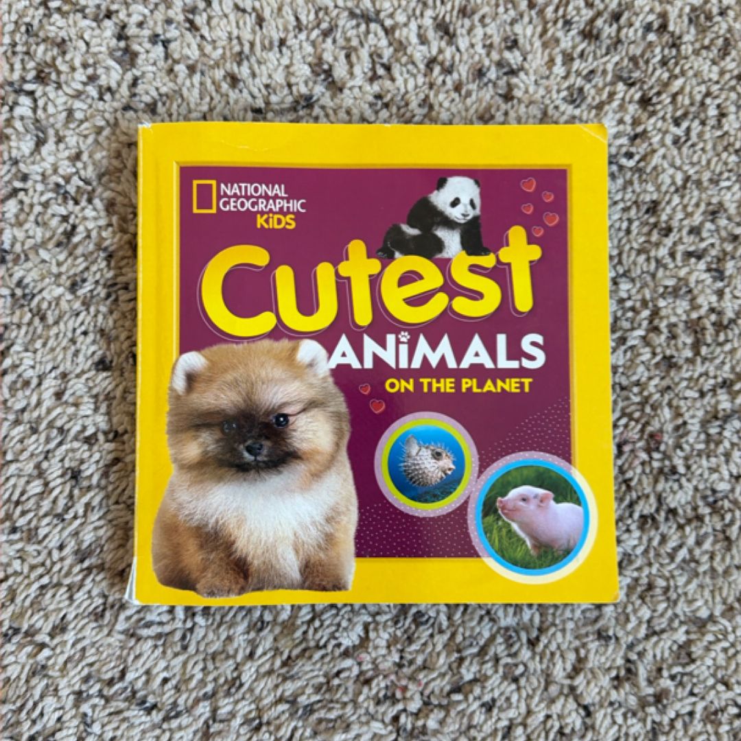 Cutest Animals on the Planet