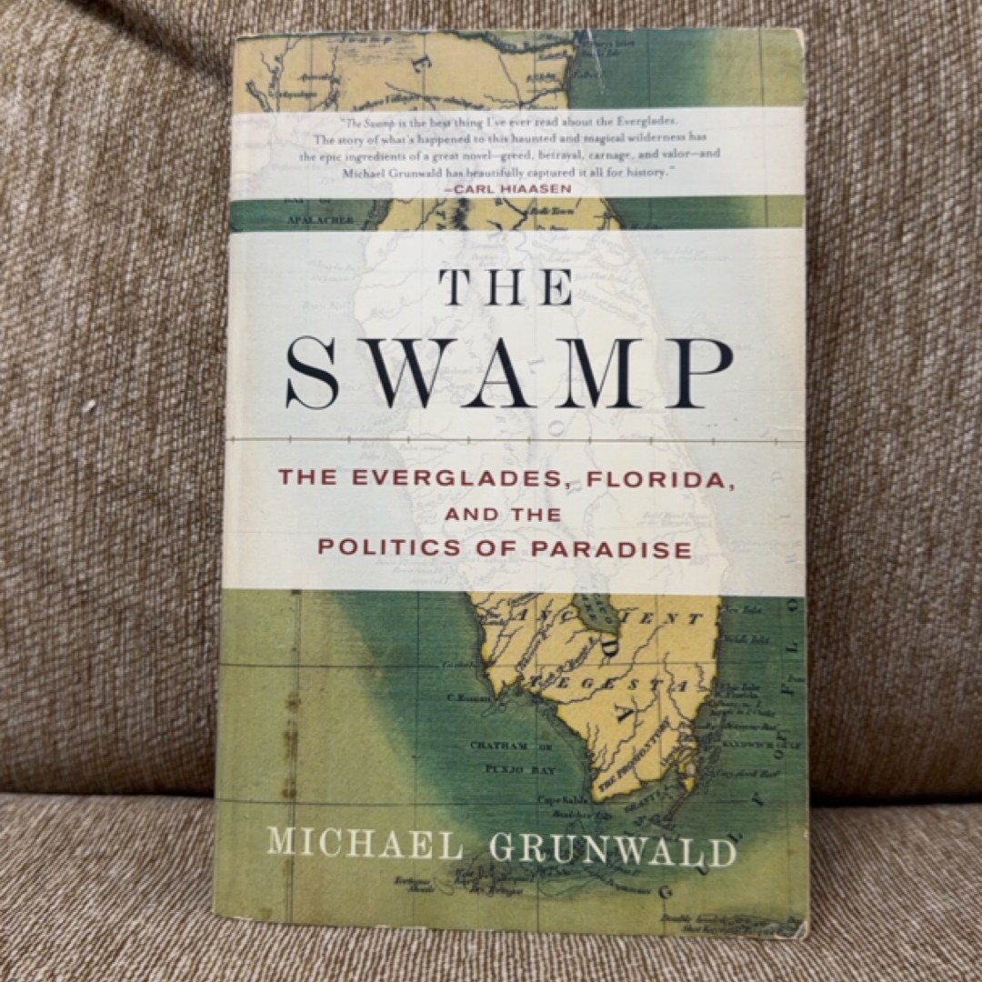 The Swamp