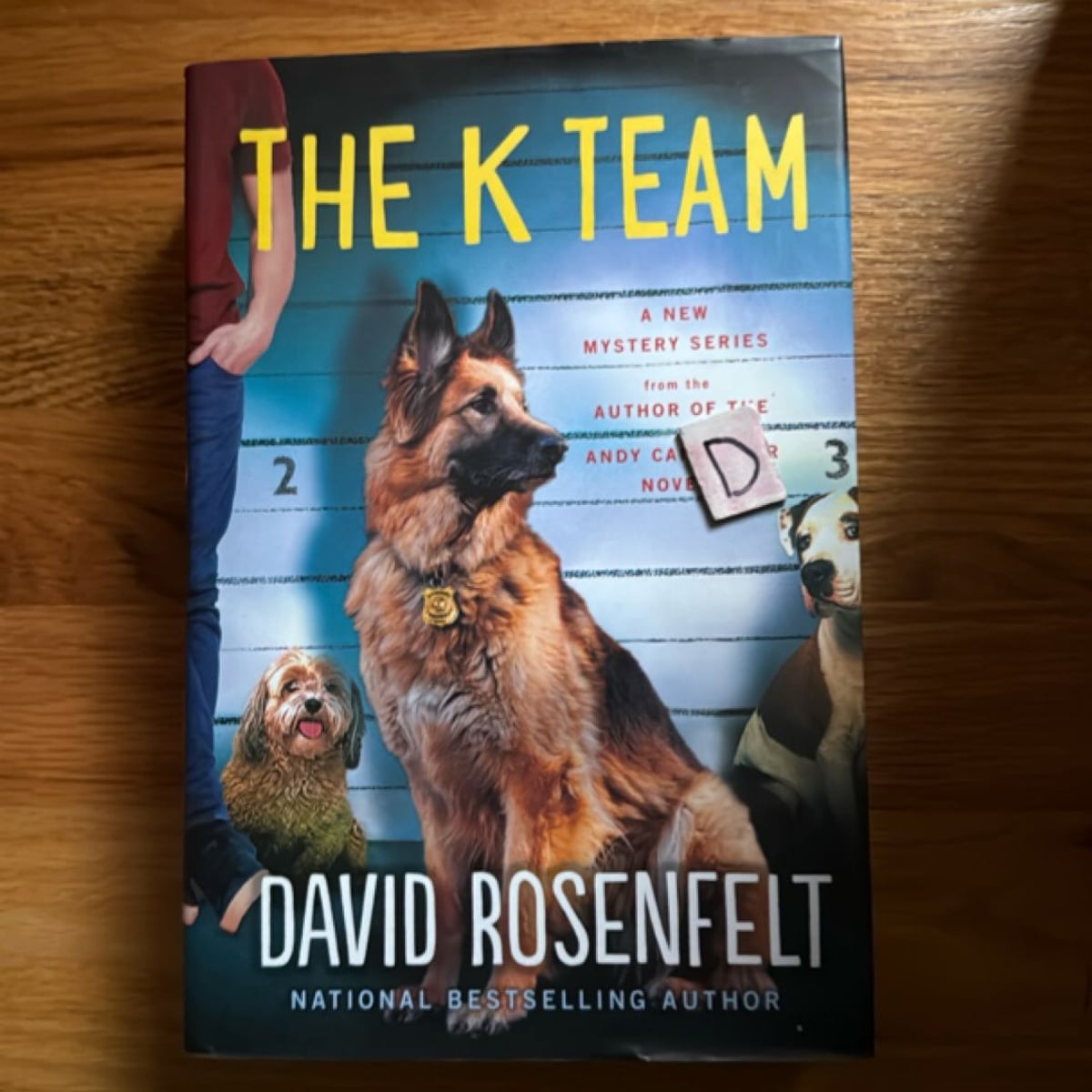 the-k-team-by-david-rosenfelt-hardcover-pangobooks