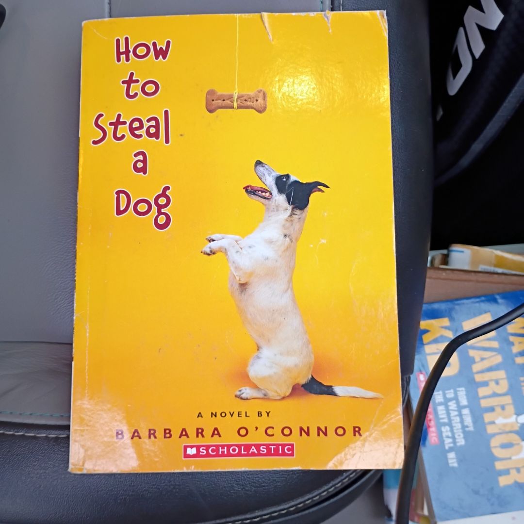 How to Steal a Dog A Novel