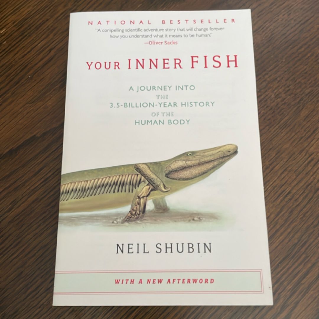 Your Inner Fish