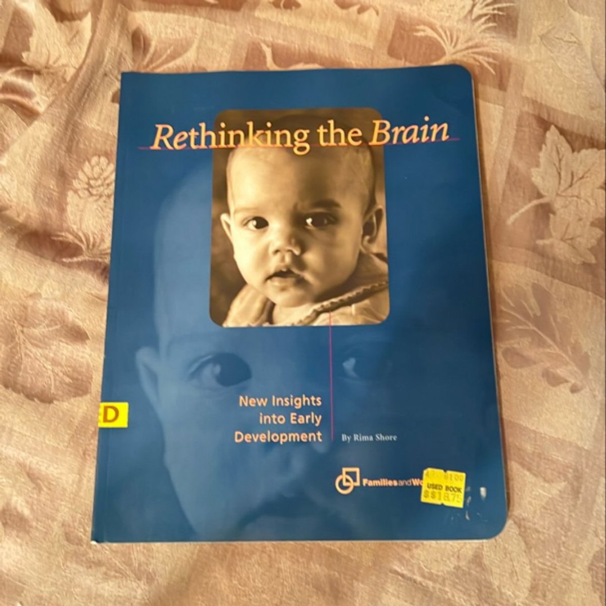 Rethinking the Brain by Rima Shore