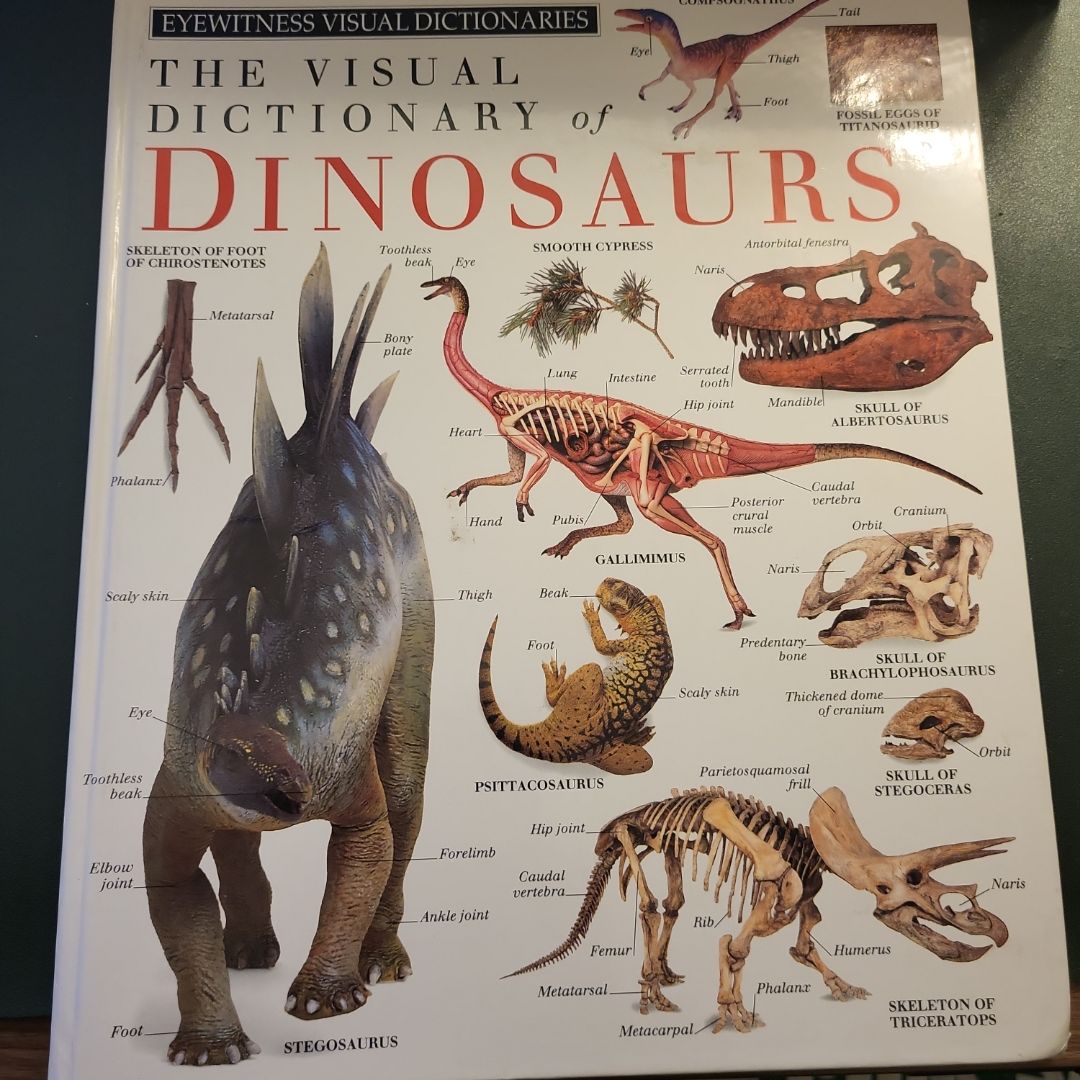 Dinosaurs