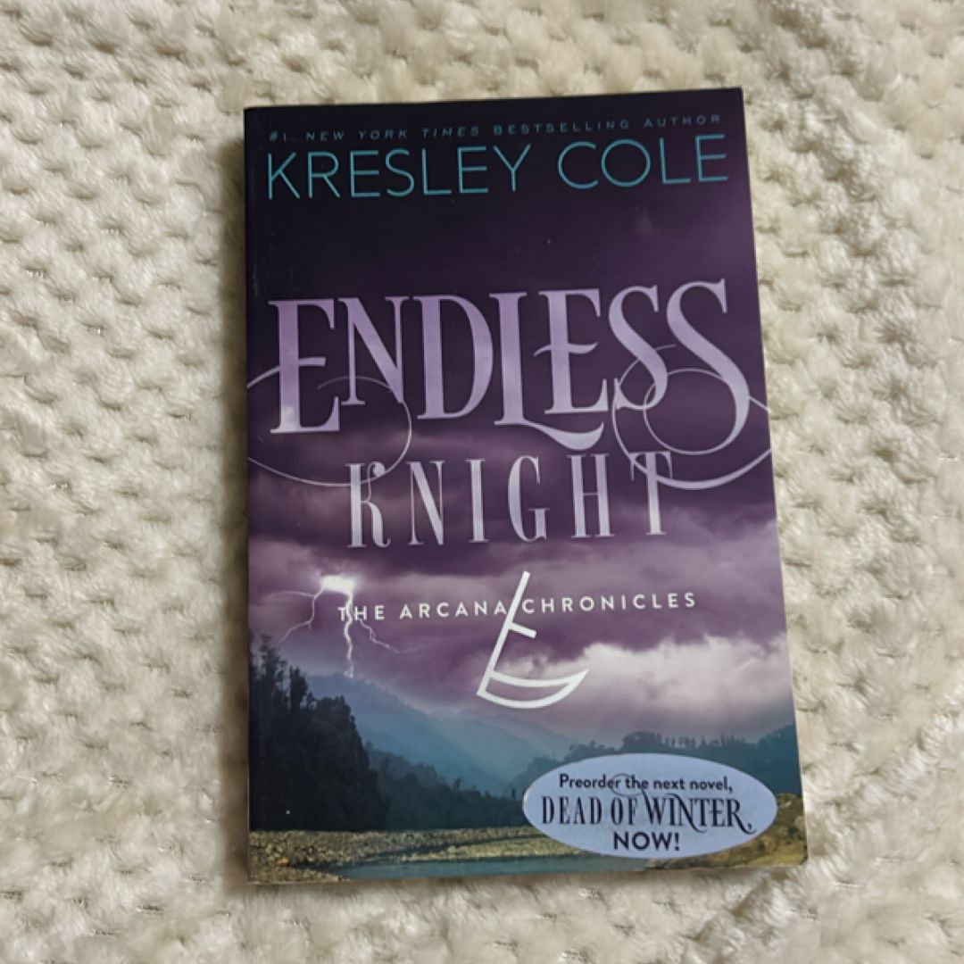 Endless Knight