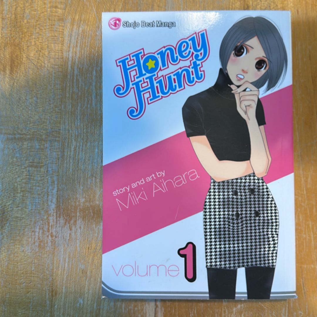 Honey Hunt, Vol. 1