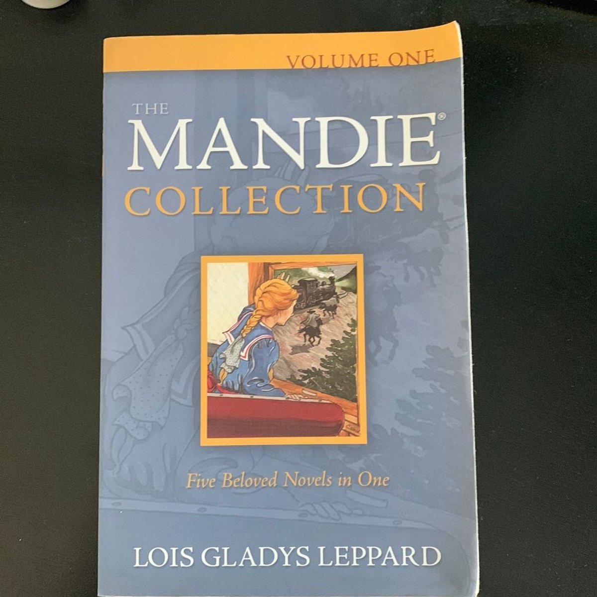 Mandie Books Boxed Set by Lois Gladys Leppard