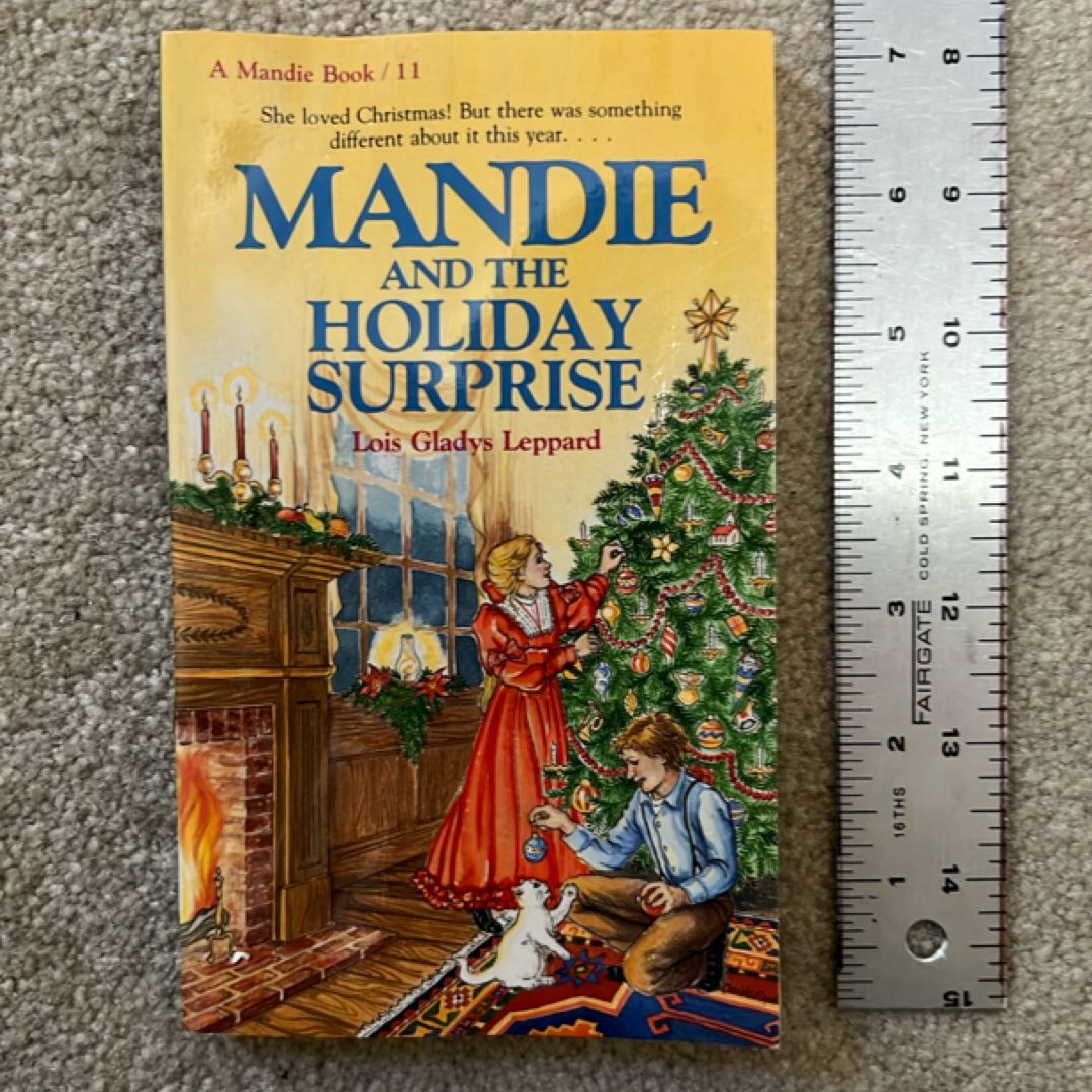 Mandie and the Holiday Surprise