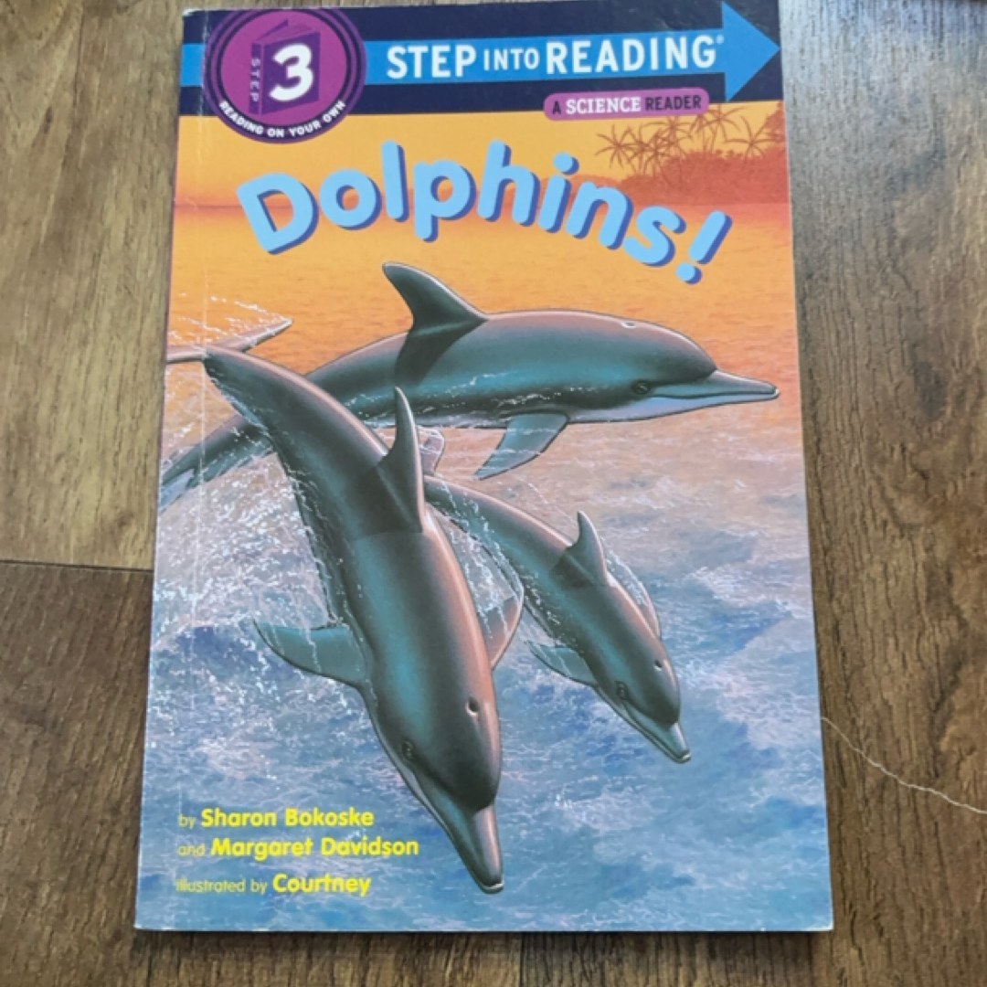 Dolphins!