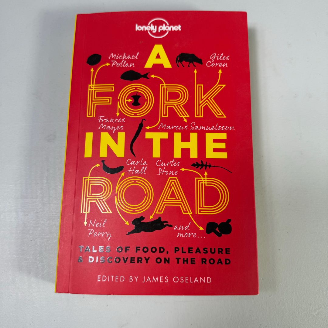 Lonely Planet a Fork in the Road