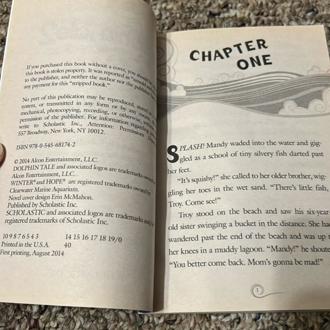 Dolphin Tale 2