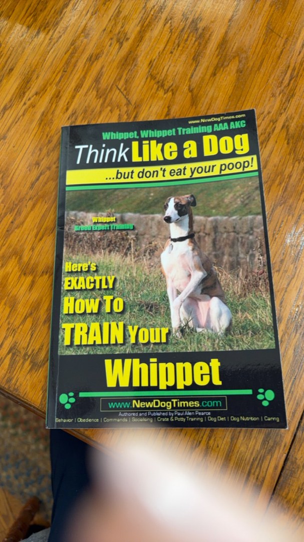Here's Exactly How to Train Your Whippet