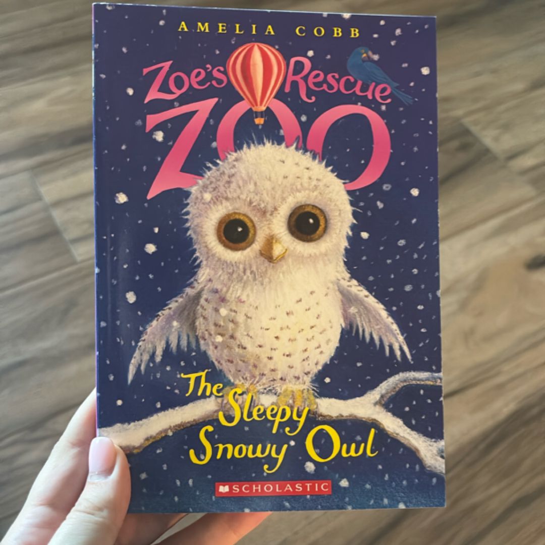 The Sleepy Snowy Owl