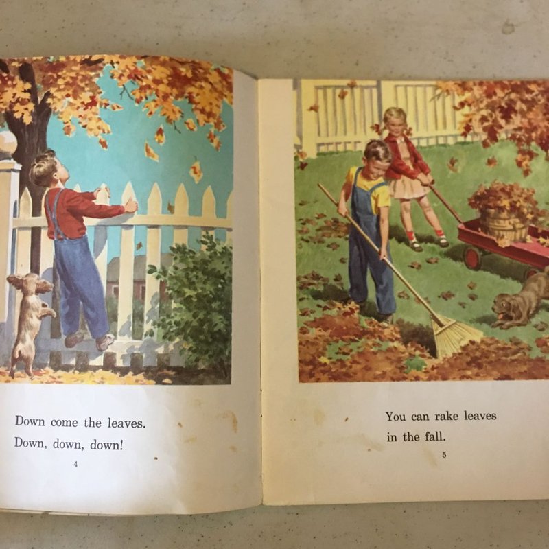 Fall Is Here-Winter Is Here