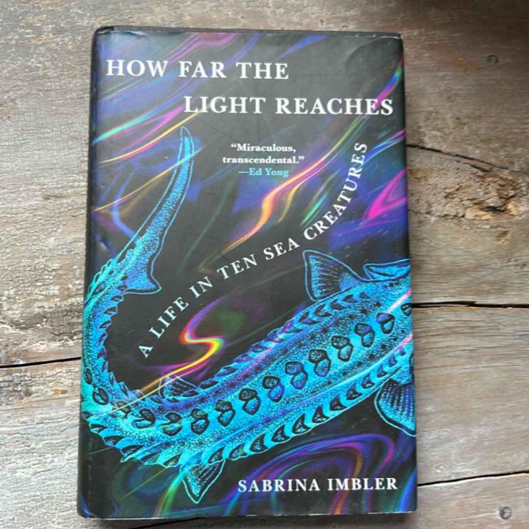 How Far the Light Reaches