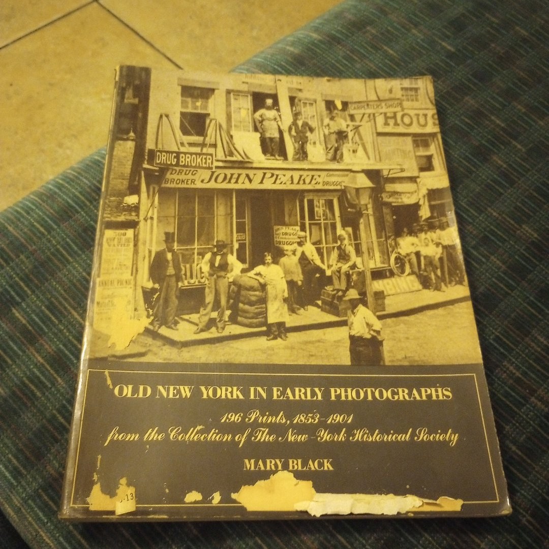 Old New York in Early Photographs, 1853-1901