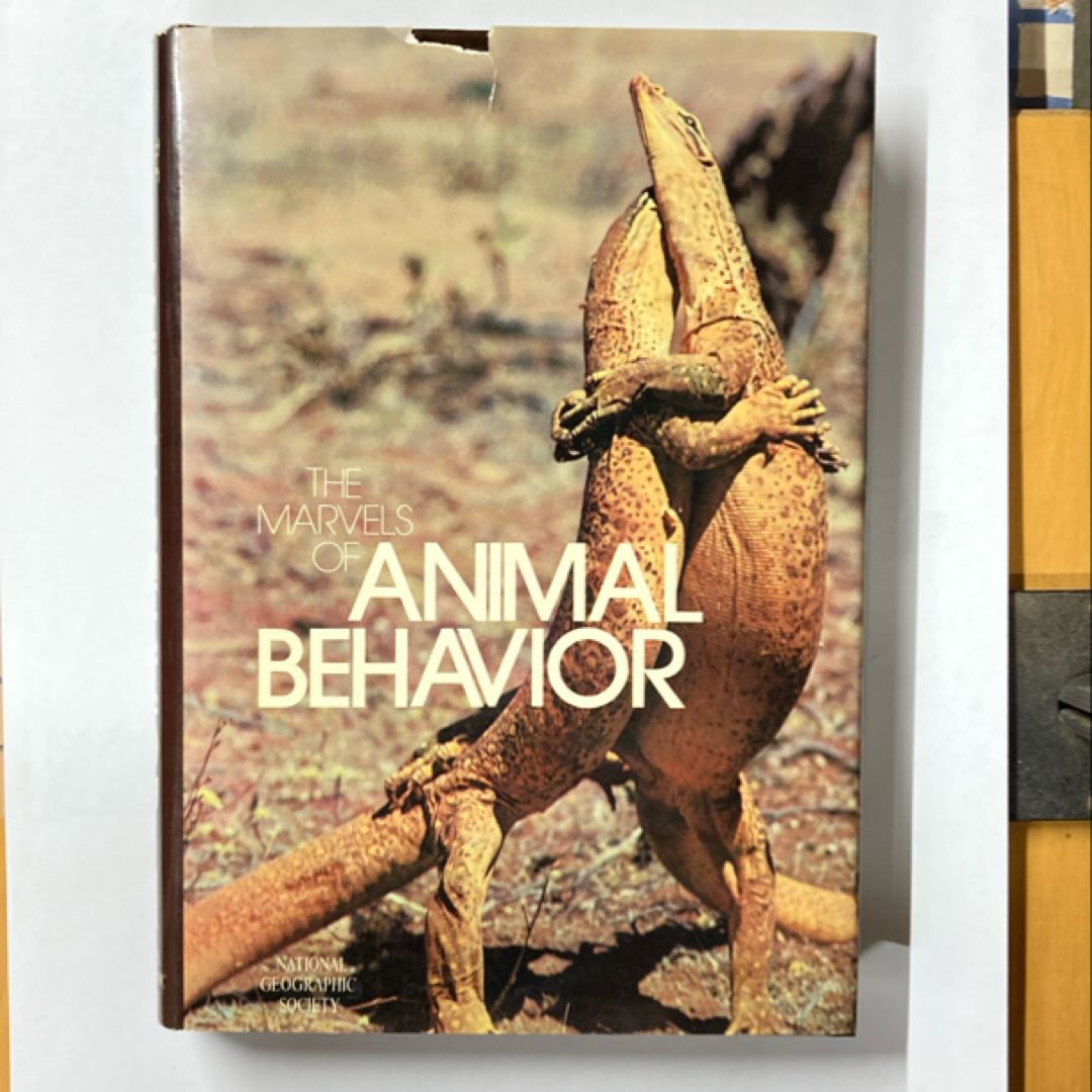 The Marvels of Animal Behavior