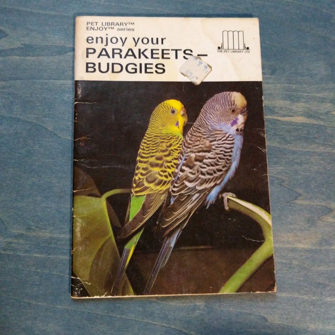 Enjoy Your Parakeets - Budgies