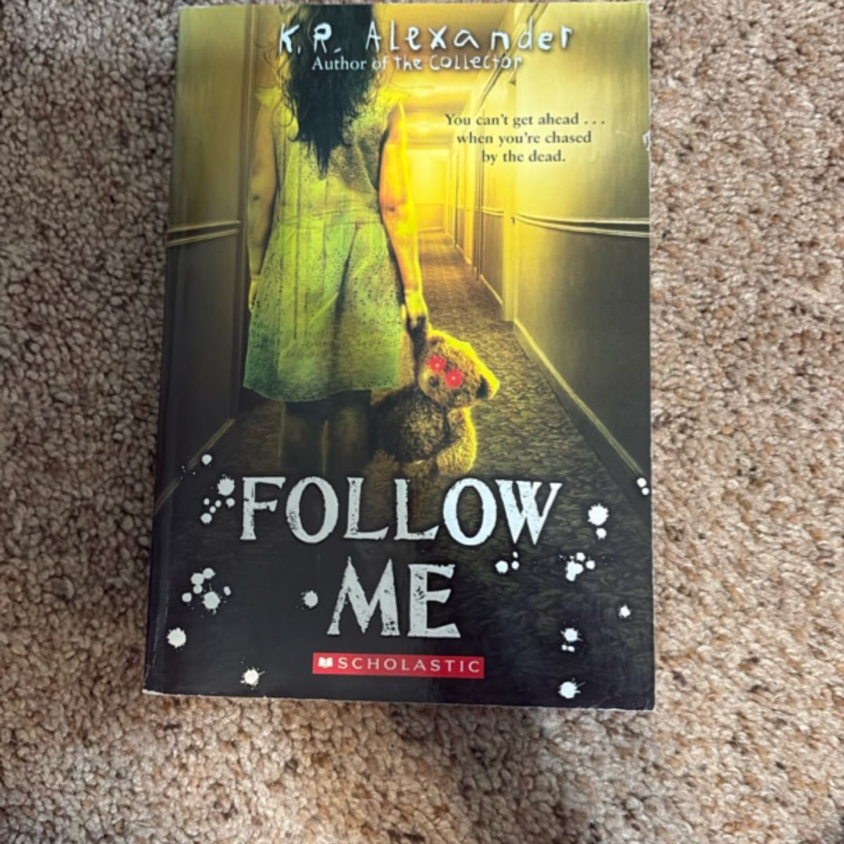 Follow Me by K. R. Alexander