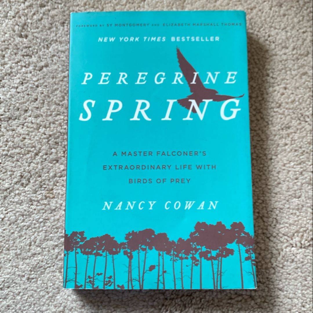 Peregrine Spring