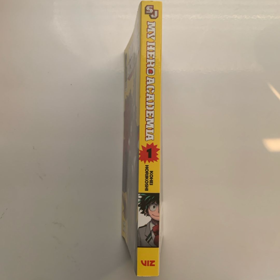 My Hero Academia, Vol. 1