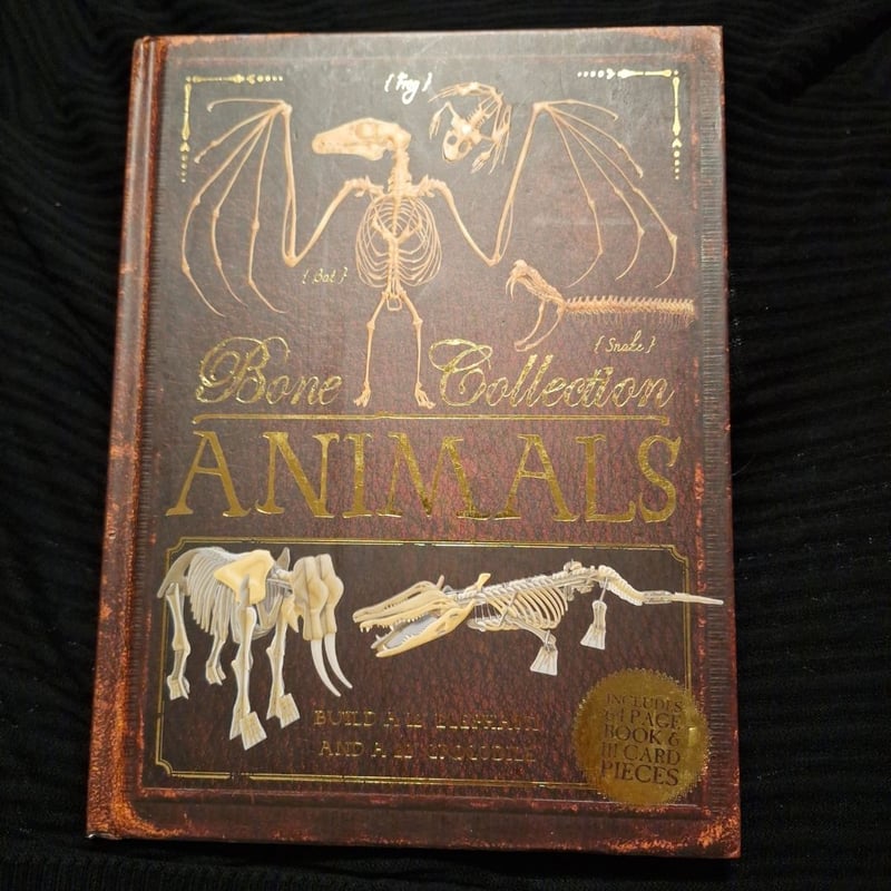Bone Collection: Animals by Rob Colson