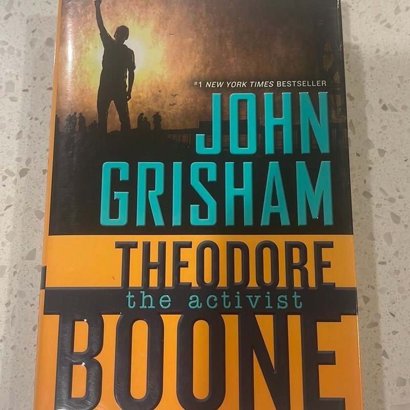 Theodore Boone: the Activist