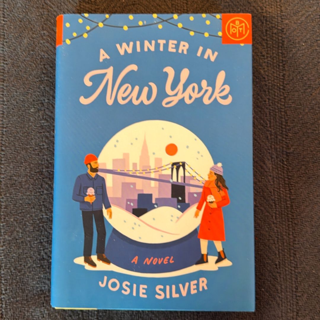 A Winter in New York