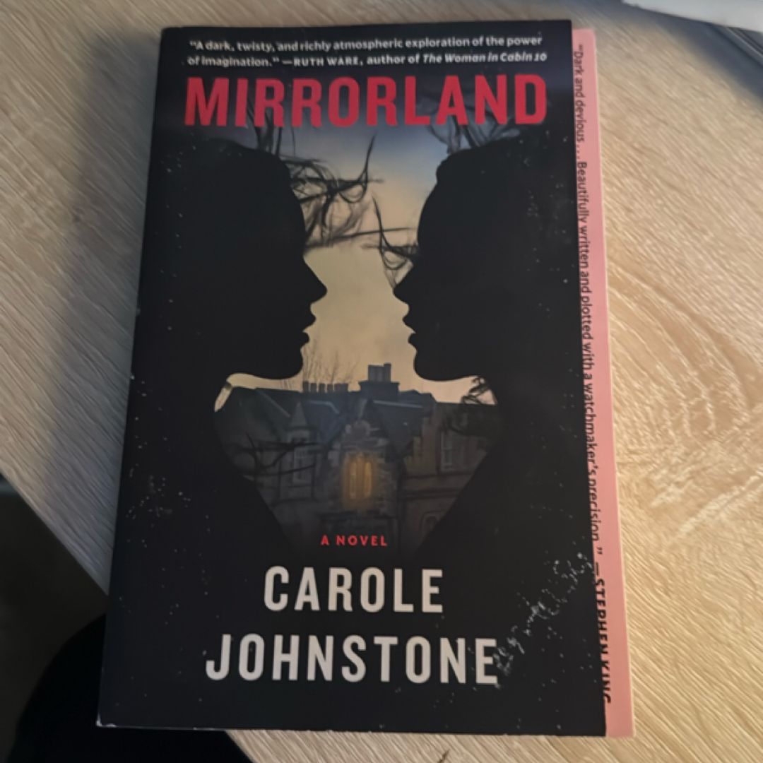 Mirrorland