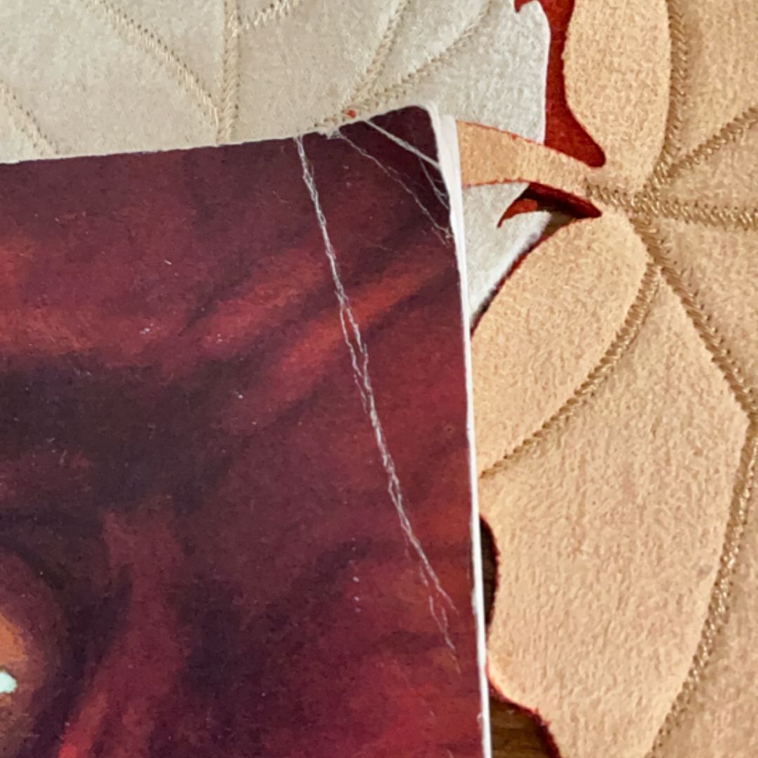 Dinosaur Book Bundle 