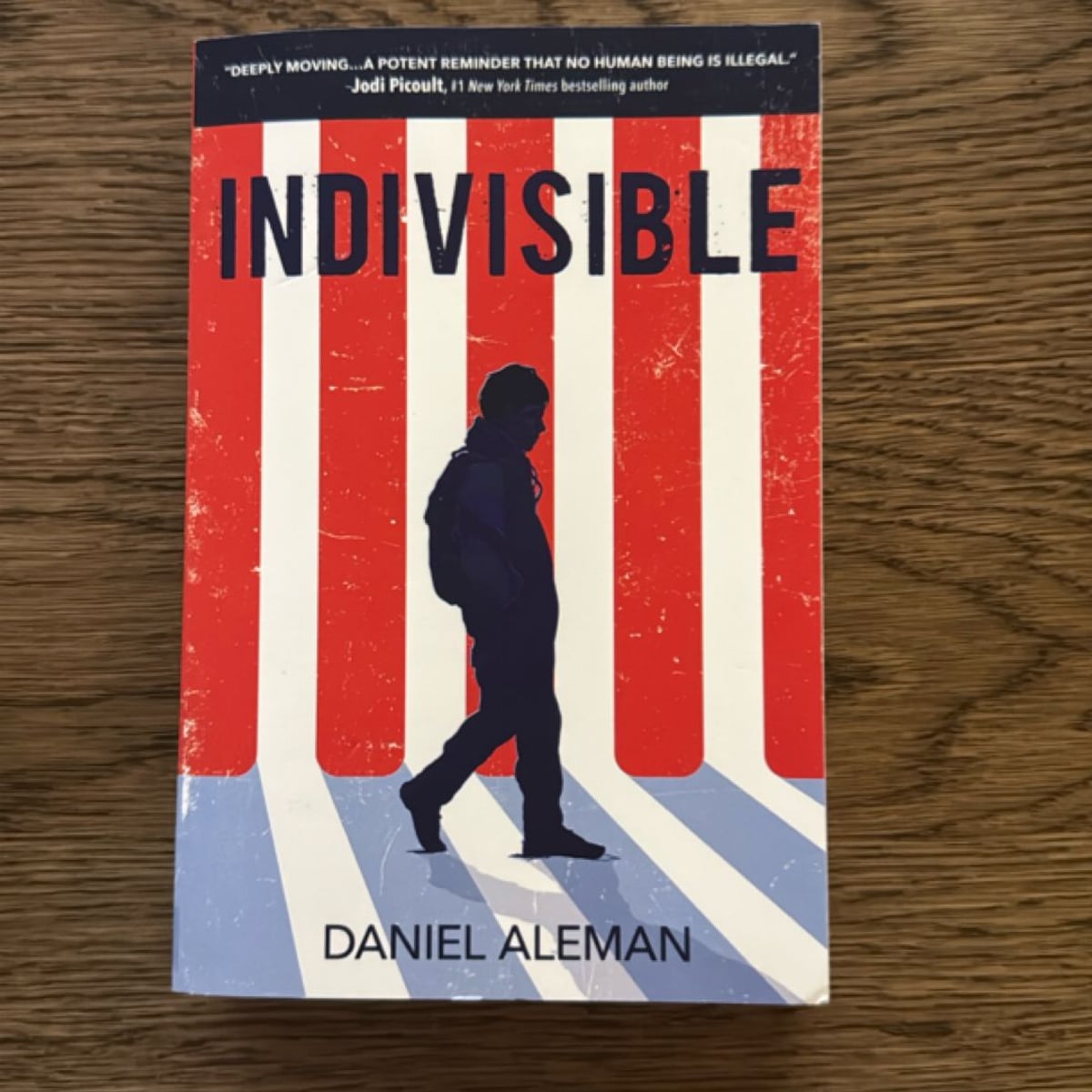 Indivisible by Daniel Aleman