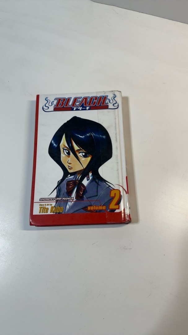Bleach, Vol. 2