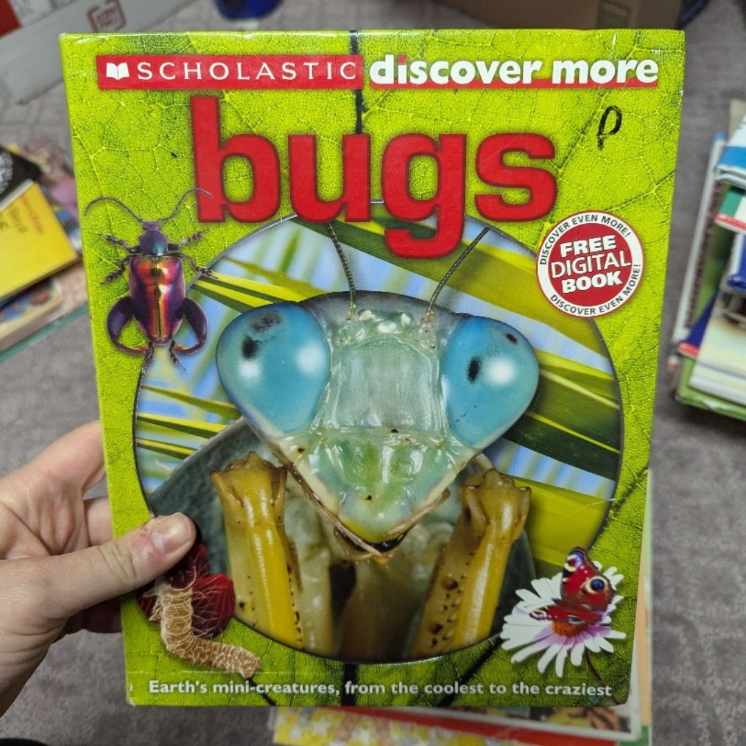 Bugs